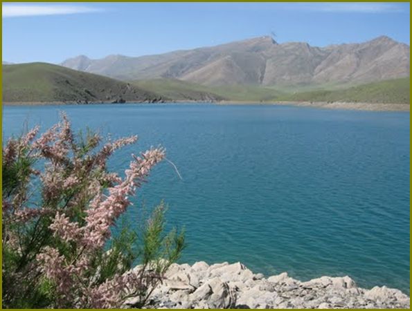 سئو سایت در گلپایگان
