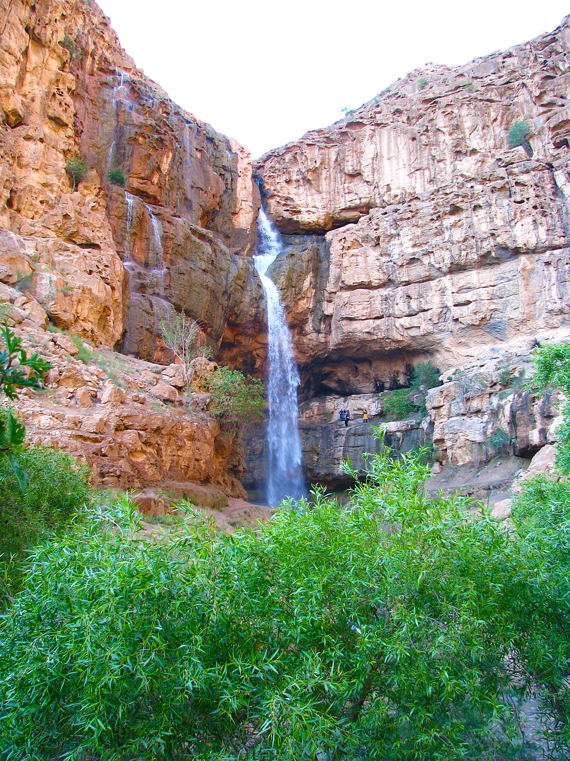 سئو سایت در تفت