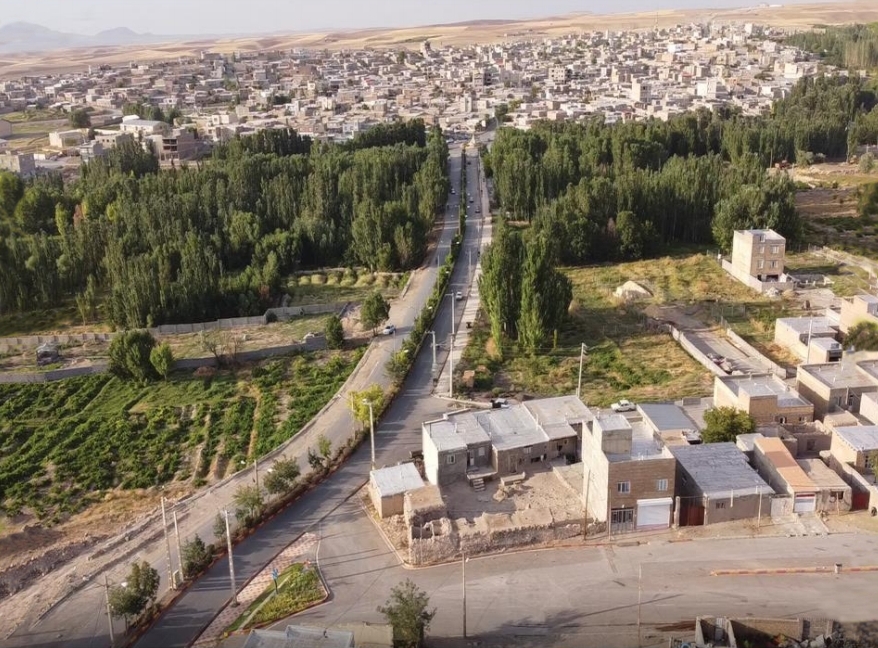 سئو سایت در دلبران
