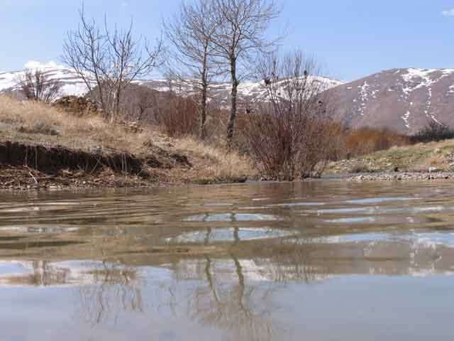 سئو سایت در دهاقان