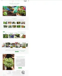 محصولات باغبانی گیلدا - تصویر 2